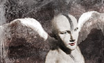 [Tamed II. 2005. 900x450]