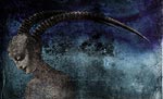 [Tamed. 2005. 900x450]