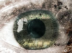 Cloud Eye. [2006]