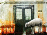 Counting Sheep. [2006]