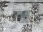 Forgotten II. [2006]