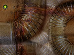 In. [2006]