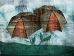 Summer rain. [2006]